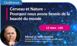 Visuel conférence Michel le Van Quyen - Pourquoi nous avons besoin de la beauté du monde - Semaine du cerveau 2025 organisée par CerveauPointComm