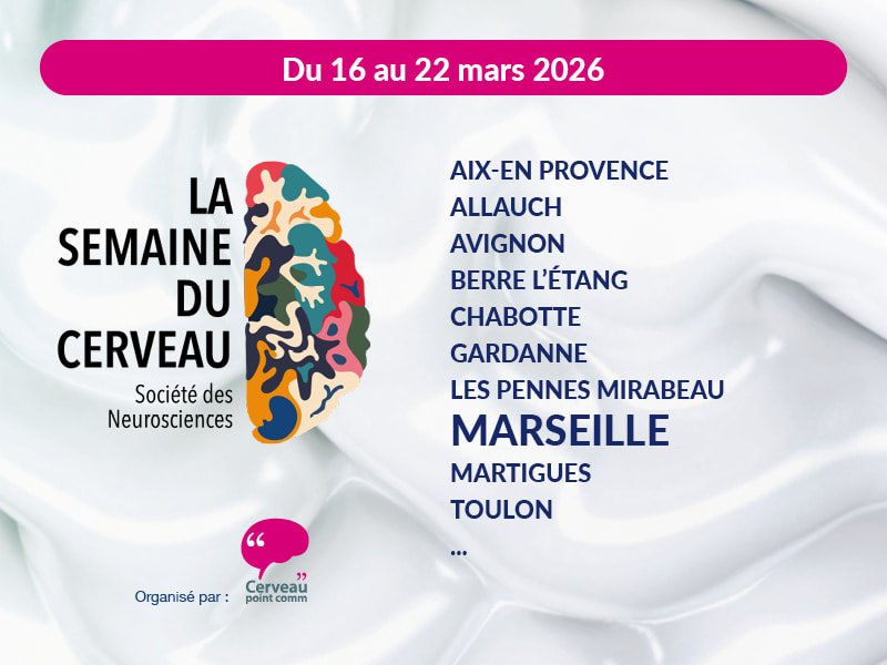 llustration Semaine du Cerveau 2026 à Marseille et sa région