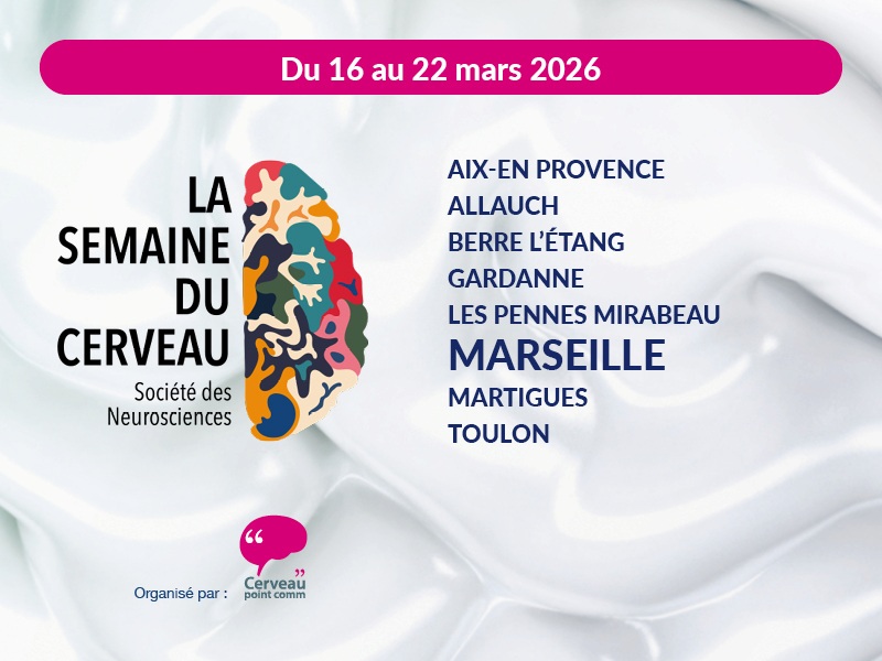 llustration Semaine du Cerveau 2026 à Marseille et sa région