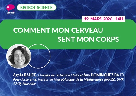 Comment mon cerveau sent mon corps