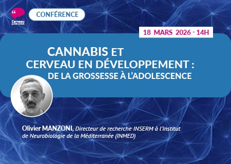 Cannabis et cerveau en développement : de la grossesse à l'adolescence