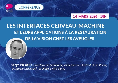 Les interfaces cerveau-machine et leurs applications à la restauration de la vision chez les aveugles