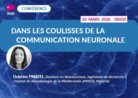 Dans les coulisses de la communication neuronale