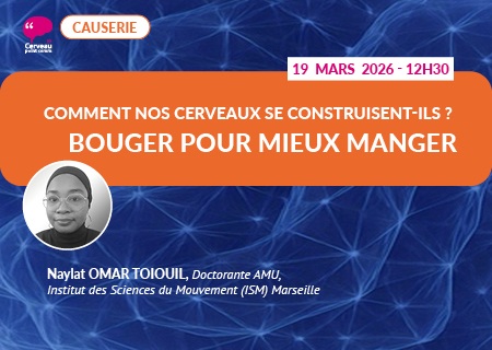 Comment nos cerveaux se construisent-ils ? Bouger pour mieux manger