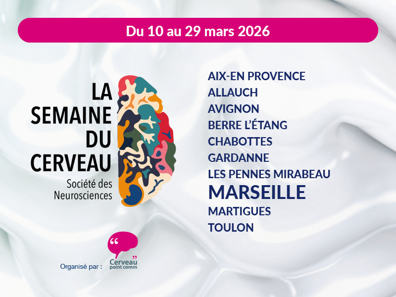 llustration Semaine du Cerveau 2026 à Marseille et alentours